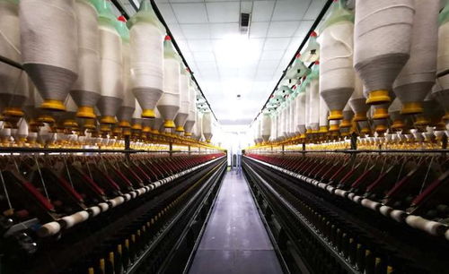 外贸订单流失的连锁反应 从港口空箱到产业升级的阵痛与机遇